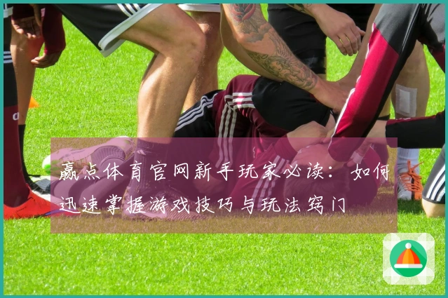 赢点体育官网新手玩家必读：如何迅速掌握游戏技巧与玩法窍门