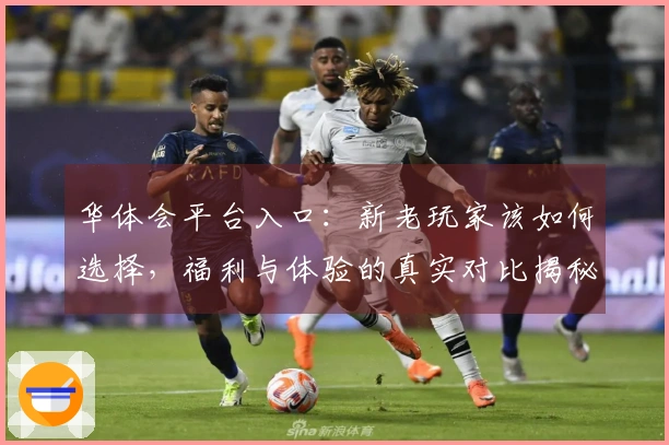 华体会平台入口：新老玩家该如何选择，福利与体验的真实对比揭秘