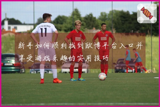 新手如何顺利找到欧博平台入口并享受游戏乐趣的实用技巧