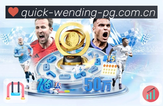 访问保障 访问保障 - 线路检测与备用入口